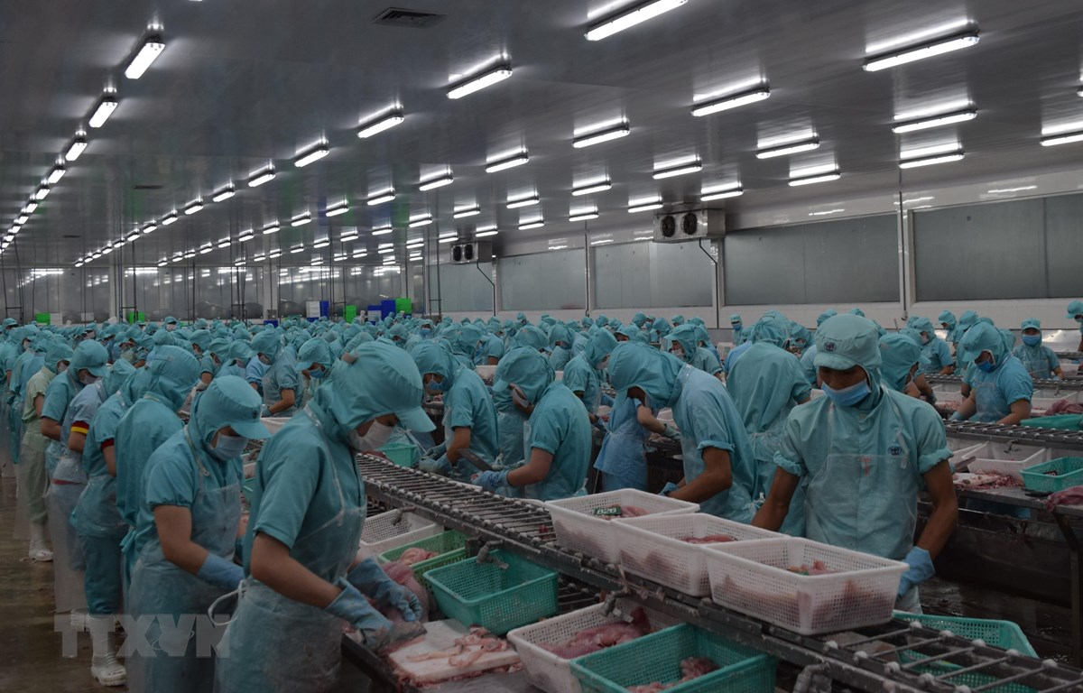 Doanh nghiệp Australia kỳ vọng vào cơ hội kinh doanh tại Việt Nam | Doanh  nghiệp | Vietnam+ (VietnamPlus)
