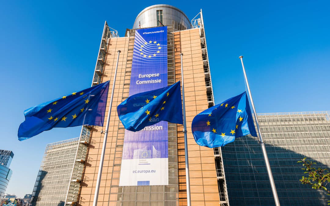 Ủy ban Châu Âu (European Commission - EC) là gì? Các quyền của Ủy ban Châu  Âu